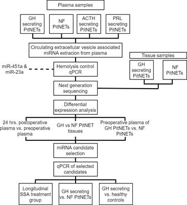 Genome wide analysis of circulating miRNAs in growth hormone secreting pituitary neuroendocrine tumor patients’ plasma